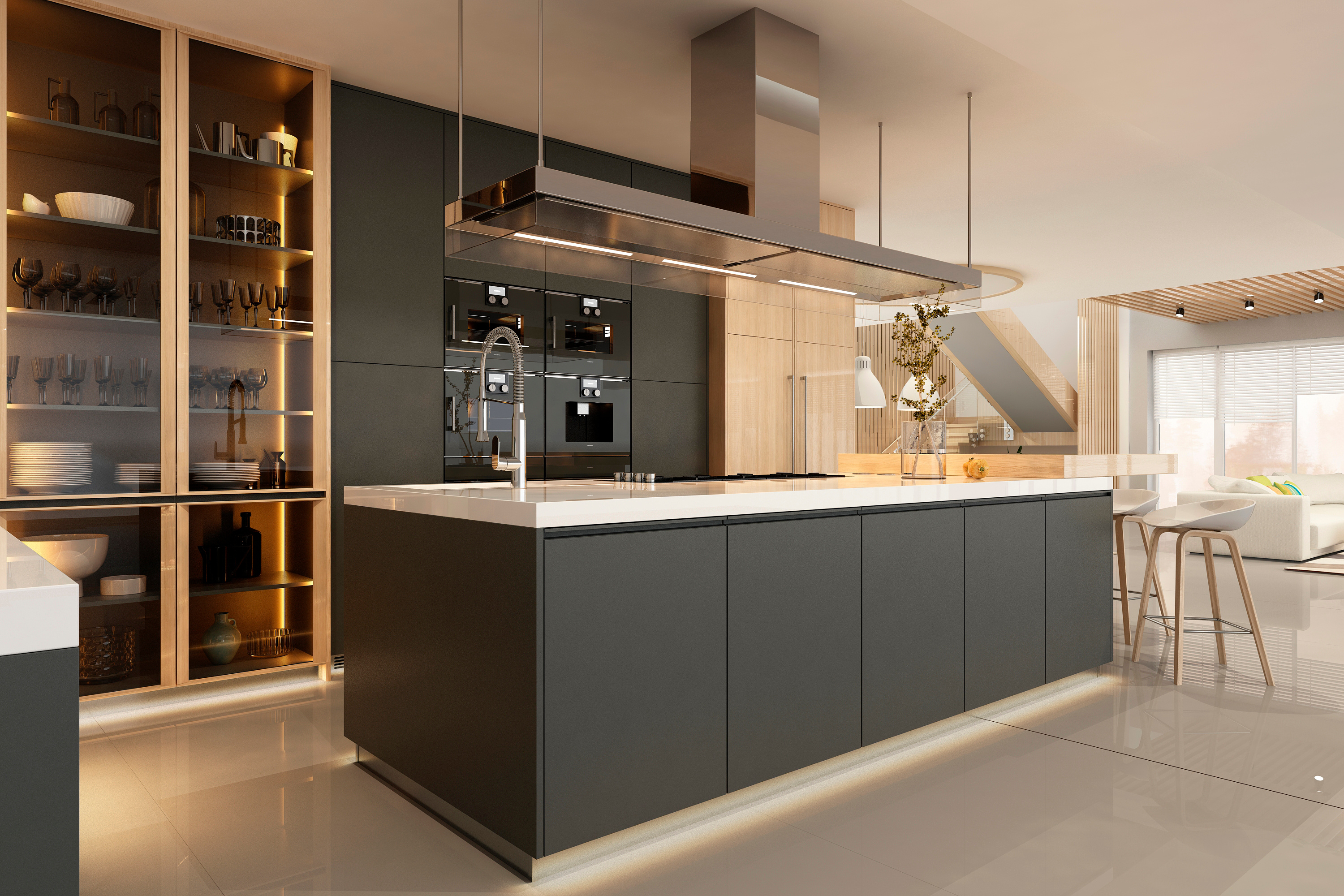 Premium dark kitchen